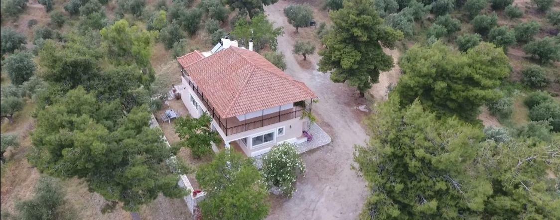 Olea Escape Villa In An Olive Estate ยีธิโอ ภายนอก รูปภาพ