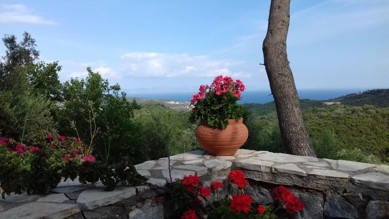 Olea Escape Villa In An Olive Estate ยีธิโอ ภายนอก รูปภาพ